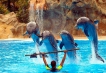  - PLD Travel